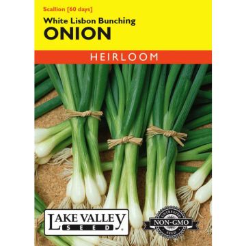 Allium, Scallion, White Lisbon Bunching Onion, 1.5g