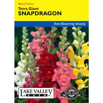 Antirrhinum, Snapdragon, Tetra Giant, 0.3g