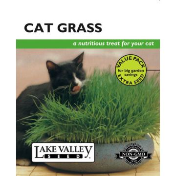 Avena, Cat Grass, Value Pack, 20g