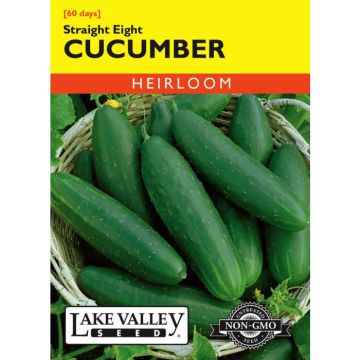 Cucumis, Cucumber, Straight Eight, 3g