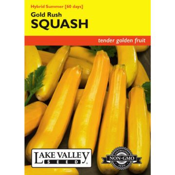 Cucurbita, Squash (Summer), Gold Rush Hybrid Squash, 3g