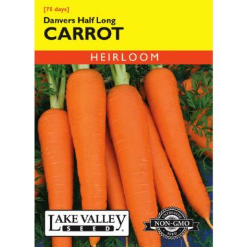 Daucus, Carrot, Danvers Half Long, 1.5g