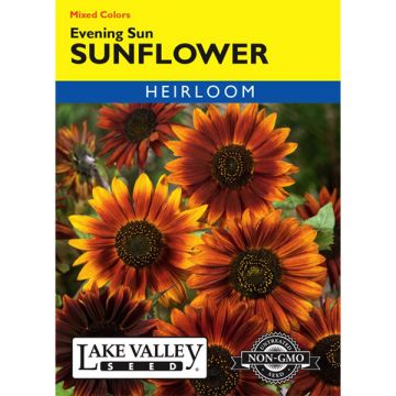 Helianthus, Sunflower, Evening Sun, 2g