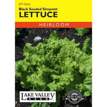 Lactuca, Lettuce, Black Seeded Simpson, 1.5g