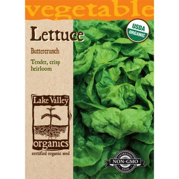 Lactuca, Lettuce, Buttercrunch, 1g