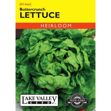 Lactuca, Lettuce, Buttercrunch, 1g