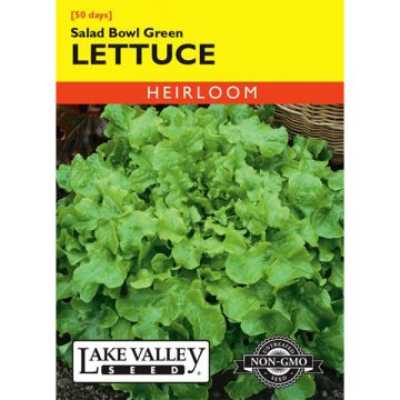 Lactuca, Lettuce, Salad Bowl Green Lettuce, 1.5g