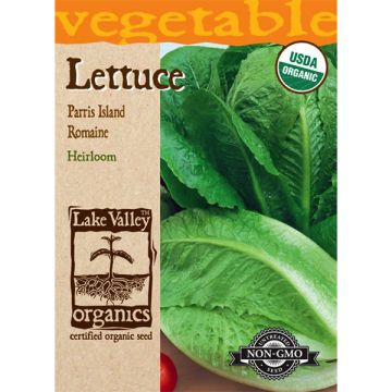 Lactuca, Romaine Lettuce, Parris Island, 1.5g