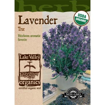 Lavendula, True Lavender, 0.3g