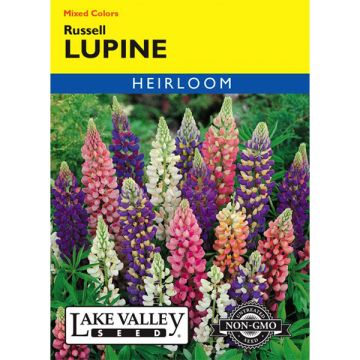 Lupinus, Russell Lupine, 1g