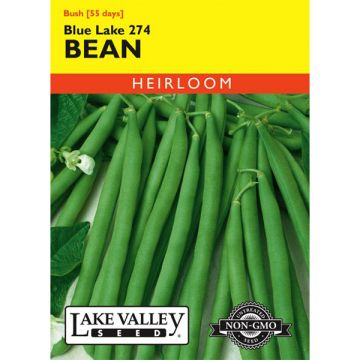 Phaseolus, Bean (Bush), Blue Lake 274, 20g