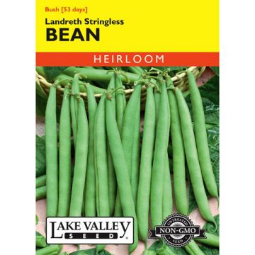 Phaseolus, Bean (Bush), Landreth Stringless, 20g