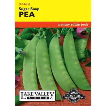 Pisum, Pea (Pole), Sugar Snap Pea, 20g