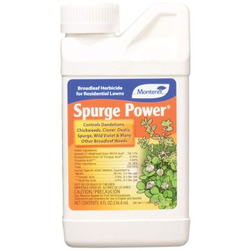 Monterey Spurge Power, 8 oz.