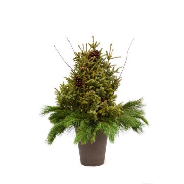 'Northwoods' Assortment, Spruce Tip Container