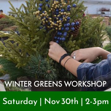 Winter Greens Container Workshop: Saturday, Nov 30th 2-3PM