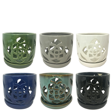 Border Concepts, Round Orchid Pot, 5.5" (assorted colors)