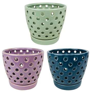 Border Concepts, Pierced Orchid Pot 5.5" (assorted colors)