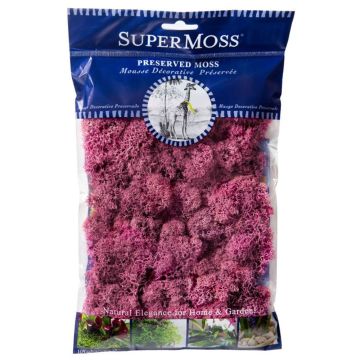 Reindeer Moss, Dusty Rose, 2 oz.