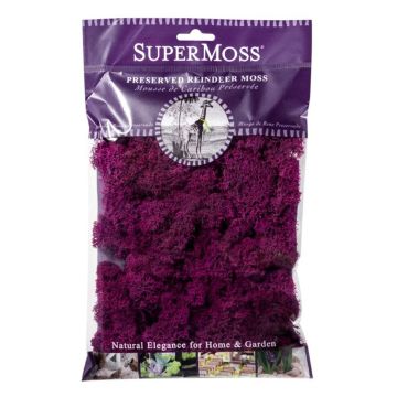 Reindeer Moss, Fuchsia, 2 oz.