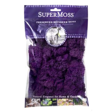 Reindeer Moss, Purple, 2 oz.