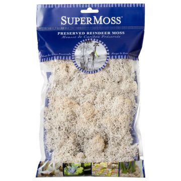 Reindeer Moss, White, 2 oz.