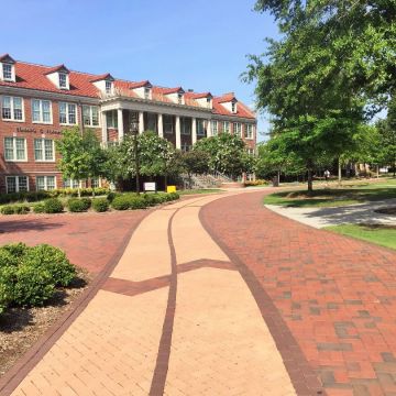 PINE HALL English Edge 60mm Clay Pavers