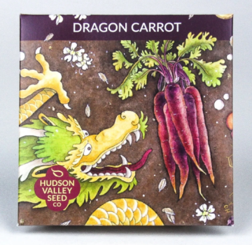 Daucus, Carrot, Dragon Carrot ~ 500 seeds