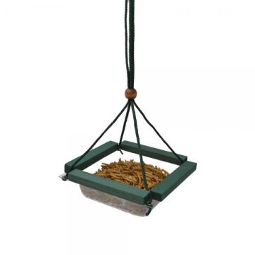 Songbird Essentials SE517 Hanging Mealworm Dish Feeder