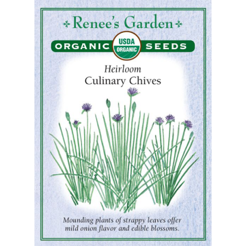 Allium, Chives, Culinary Chives ~ 1362 seeds