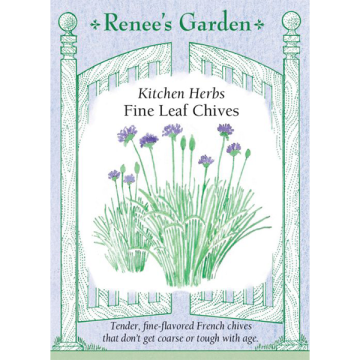 Allium, Chives, Fine Leaf Chives ~ 750 seeds