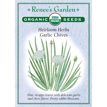 Allium, Chives, Garlic Chives ~ 225 seeds