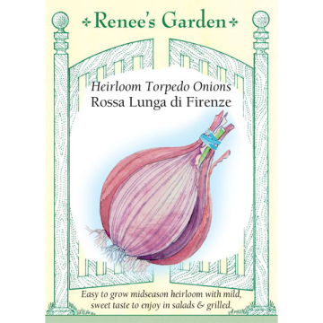 Allium, Onion, Rossa Lunga di Firenze ~ 400 seeds