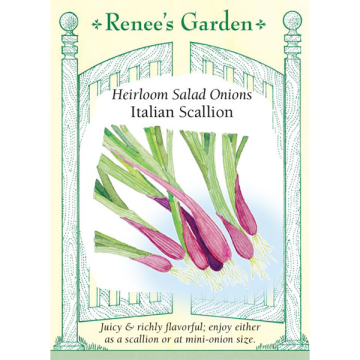 Allium, Scallion, Italian Scallion ~ 500 seeds