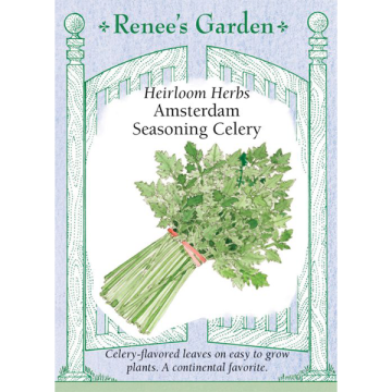 Apium, Celery, Amsterdam Seasoning Celery ~ 670 seeds