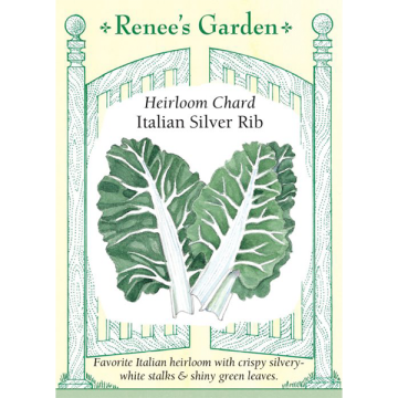 Beta, Chard, Italian Silver Rib ~ 155 seeds