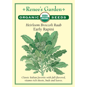 Brassica, Broccoli Raab, Early Rapini ~ 875 seeds