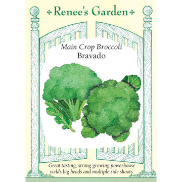 Brassica, Broccoli, Bravado ~ 95 seeds