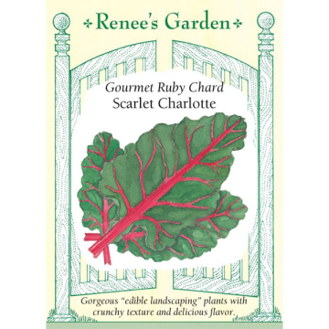 Brassica, Chard, Ruby Chard Scarlet Charlotte ~ 100 seeds