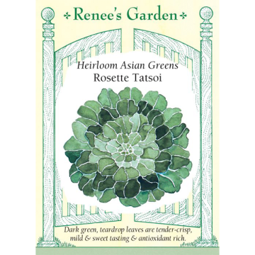 Brassica, Tatsoi, Rosette ~ 1250 seeds