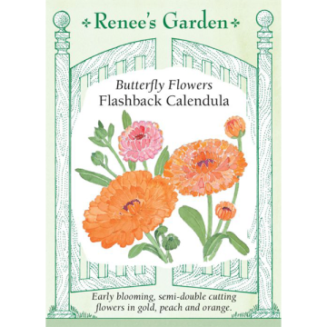 Calendula, Flashback ~ 55 seeds