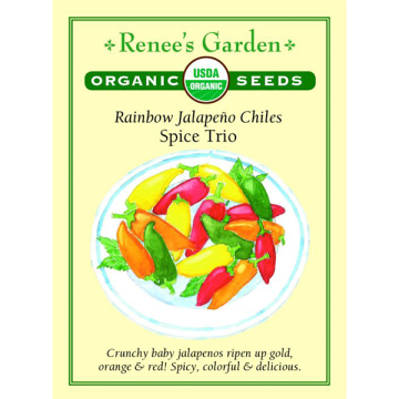 Capsicum, Pepper (Hot) Mix, Jalapeño Chiles Spice Trio ~ 50 seeds