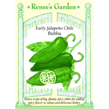 Capsicum, Pepper (Hot), Early Jalapeño Chile Bubba ~ 21 seeds