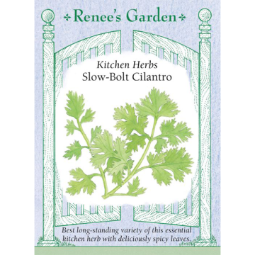 Coriandrum, Cilantro, Slow-Bolt ~ 150 seeds