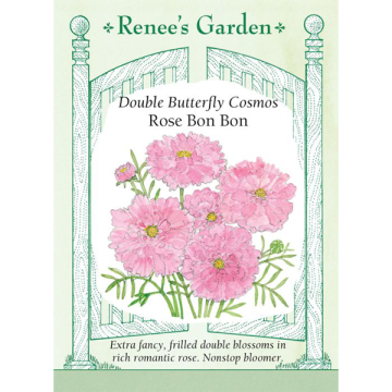 Cosmos, Rose Bon Bon ~ 45 seeds