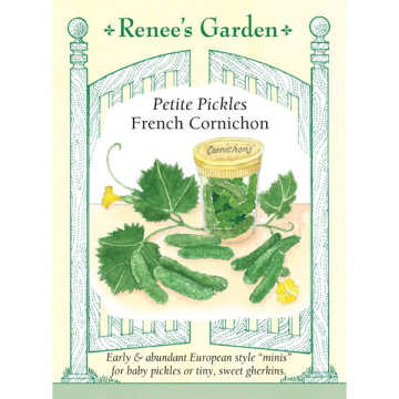 Cucumis, Cucumber (Pickling), French Cornichons ~ 35 seeds