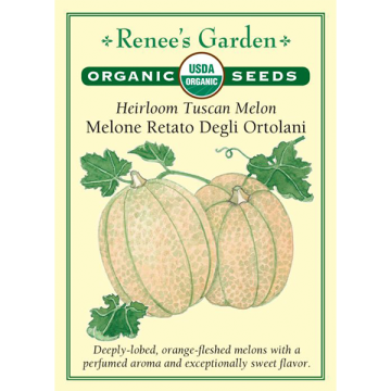 Cucumis, Tuscan Melon, Melone Retato Degli Ortolani ~ 47 seeds