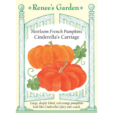 Cucurbita, Pumpkin, French Pumpkin, Cinderella's Carriage ~ 15 seeds