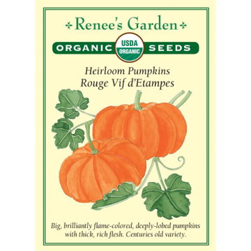 Cucurbita, Pumpkins, French Pumpkin, Rouge Vif d'Etampes ~ 21 seeds