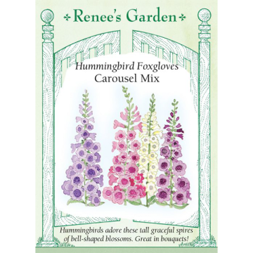 Digitalis, Foxglove, Carousel Mix